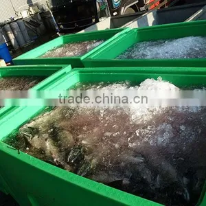 800L Cold Chain Logistics Cooler Box Ice Box for Commercial Fishing thumbnail-1