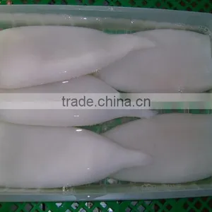 Illex Squid Tube thumbnail-3
