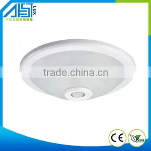 PIR Motion Sensor Ceiling Light thumbnail-1