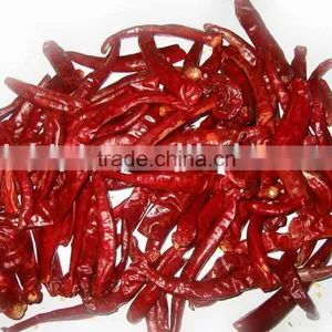 Wangdu Big Chilli W/o Stem thumbnail-1