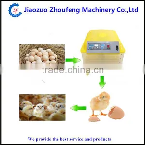 Small Little Turtle Incubator / Automatic Egg Incubator thumbnail-2