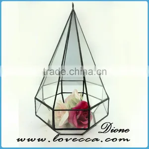 Unquie Shape Custom-made Home Garden Geometric Glass Terrarium Perfect With Black Metal Frame Lead and Nickle Free thumbnail-1
