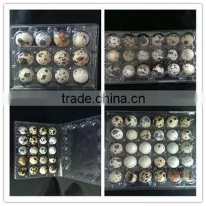 OUCHEN Wholesale High Quality Plastic Quail Egg Cartons Container Box 12 18 20 24 30 Holes for Sale thumbnail-6