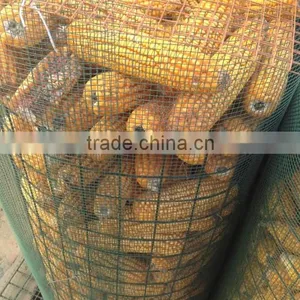 Iron Wire Mesh,galvanized Wire Mesh Panel thumbnail-2