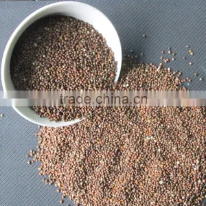 Brown Perilla Seeds Red Perilla thumbnail-3