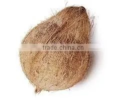 Semi Husked Coconuts thumbnail-1
