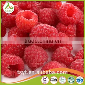 2016 Common and Organic Season Frozen Iqf Raspberry thumbnail-1