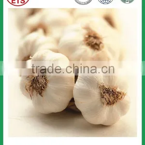 Supply Bulk High Quality White Garlic From Chinese Garlic Hometown ,jinxiang to Singapore thumbnail-1