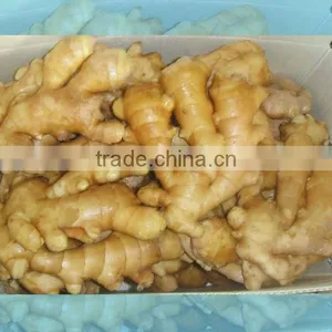 Organic Fresh Ginger thumbnail-1