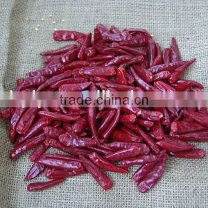 2016 Dried Red Chili Pods thumbnail-1