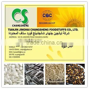 Sunflower Seeds 5009 24/64, 24/68 thumbnail-5