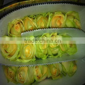 Wholesale Fresh Cut Rose Flowers for Wedding thumbnail-4
