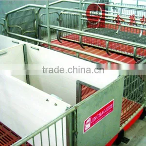 Pigsty |crates With CE/CCC Certificate|sow Gestation Crates or Farrowing Crate thumbnail-1