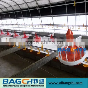 Complete Automatic Poultry Feeding Troughs for Broiler thumbnail-2