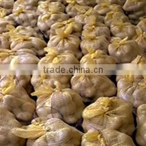 Vietnam Origin Potato 2016 New Crop With Wholesale thumbnail-6