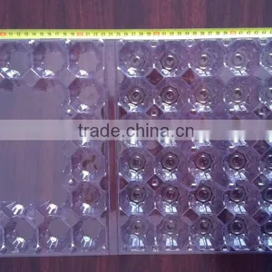Best Quality and Price Chicken Packing Tray for 30 Chicken Eggs thumbnail-1