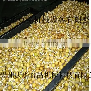 100kg-1000kg Bean Sprout Machine thumbnail-4