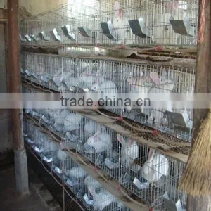Galvanized Rabbit Cage From Dircet Factory thumbnail-5