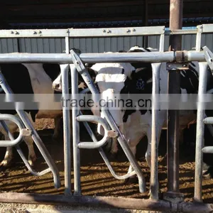Agricultural Equipment Cow Feeder thumbnail-3