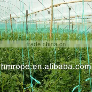 pp Agriculture Twine Rope thumbnail-1