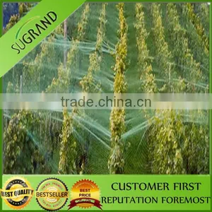 100% Virgin HDPE Graden/Crops Bird Protection Net thumbnail-3