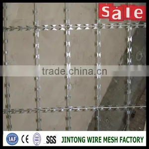 Razor Concertina Wire/razor Barbed Wire /razor Wire thumbnail-5