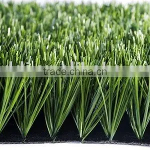 Olive Grass thumbnail-1