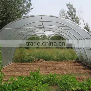Steel Structural Frame Support Greenhouse thumbnail-1