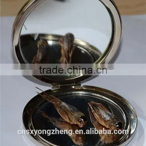 Pet Bird Food Vacuum Dried Crickets thumbnail-6