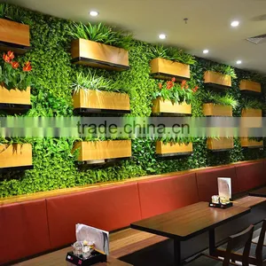 HX201704201 Wall Hanging Plants thumbnail-1