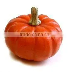 2011 Hot-Selling Natural Popular Plastic Pumpkin Bucket thumbnail-1