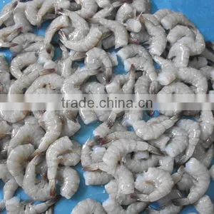 HLSO Shrimps thumbnail-1