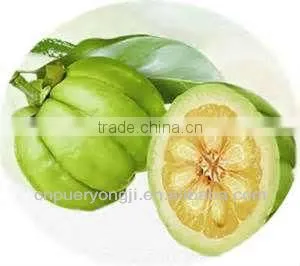 Pure Garcinia Cambogia Fruit Extract thumbnail-1
