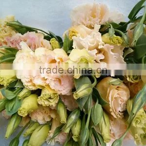 Fragrant Fresh Lisianthus With Many Kinds of Colors Wholesale From Kunming thumbnail-1