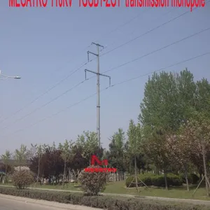 MEGATRO 110KV 1GGB1-ZG1 Transmission Monopole thumbnail-2