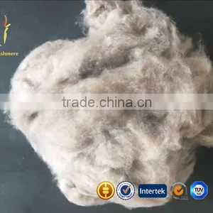 Mongolian Dehaired Cashmere Wool Top Fiber thumbnail-1