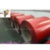 Color Coated Steel Coil/Sheet thumbnail-1