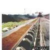 Conveyor Belt thumbnail-1