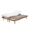 Electric Bed thumbnail-1