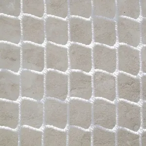 Ice Hockey Net thumbnail-1