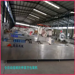 Vacuum Packing Machine for Dressed Chicken thumbnail-1