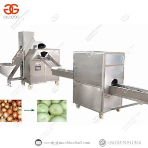 Onion Skin Removing Machine 700-1000 Kg/h Vegetable Processing Plant thumbnail-1
