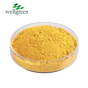 Bulk Price Natural Organic Vegetable Fruit Supplement Spray Dried Pumpkin Powder thumbnail-2
