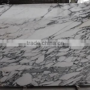 Polished Arabescato Corchia Stone Italy White Marble Quality Choice thumbnail-6
