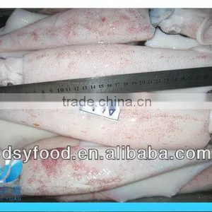 Frozen Whole Baby Squid thumbnail-1