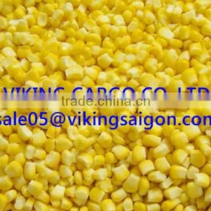BEST PRICE_FROZEN CORN KERNEL_FROM VIETNAM ! thumbnail-1