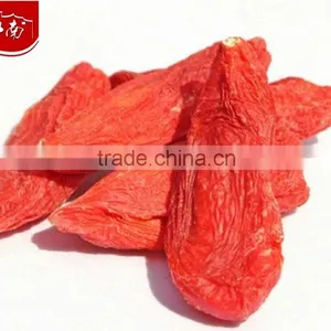 Ningxia Goji Berry thumbnail-1