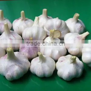 2015 Frozen Garlic thumbnail-3