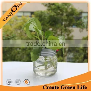 8oz Mason Jar With Wire Frog Lid thumbnail-1