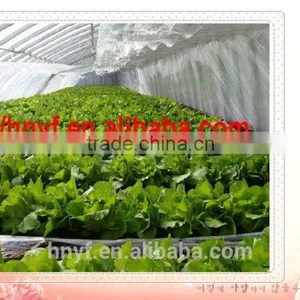 GREENHOUSE FILM thumbnail-1